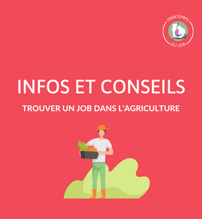 Trouver un job dans l’agriculture : cueillette de fruits, ramassage de légumes, vendanges…