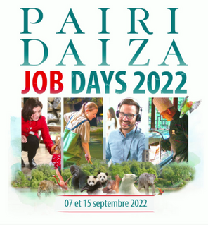 Le zoo Pairi Daiza recrute 70 personnes
