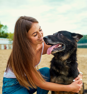 Animaux de compagnie : désormais, il faut s'engager pour adopter !