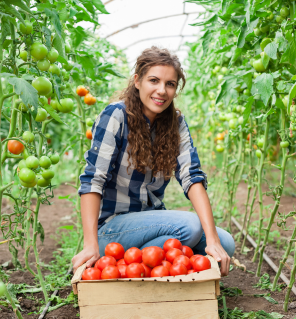 Trouver un job  dans l'agriculture