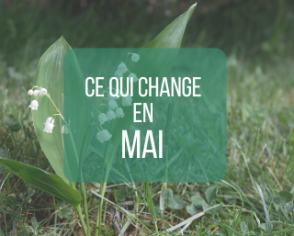 Ce qui change en mai
