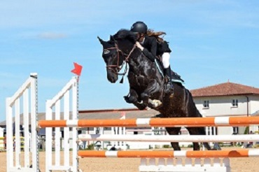 Les métiers du cheval