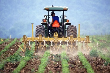 Bac pro conduite et gestion de l'entreprise agricole