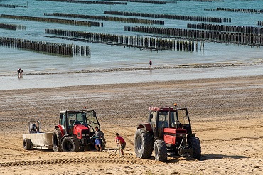 Bac pro conduite de productions aquacoles