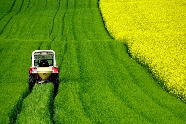 CAP agricole métiers de l'agriculture spécialité production végétale : grandes cultures