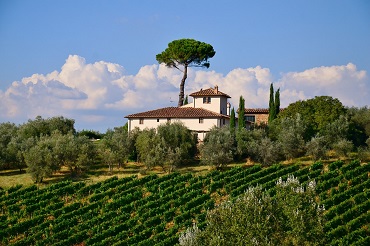 CAP agricole métiers de l'agriculture spécialité production végétale : vigne et vin