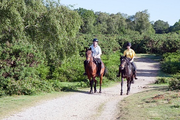 Animateur d’équitation