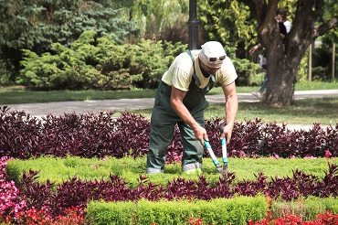 CAP agricole jardinier paysagiste