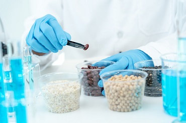 Diplôme d'ingénieur génie biologique et alimentaire